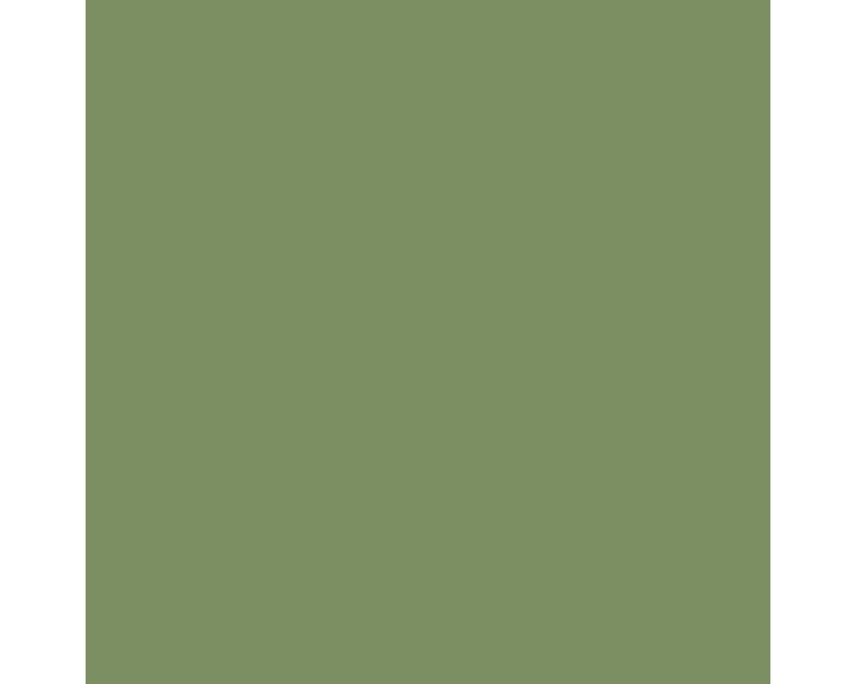 Raf Interior Green