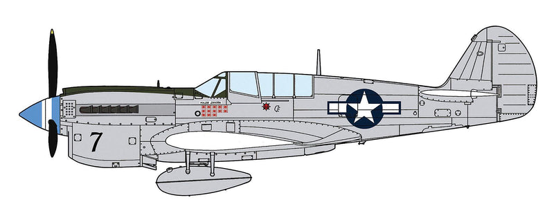 1/48 P-40N Warhawk Natural Metal Aces