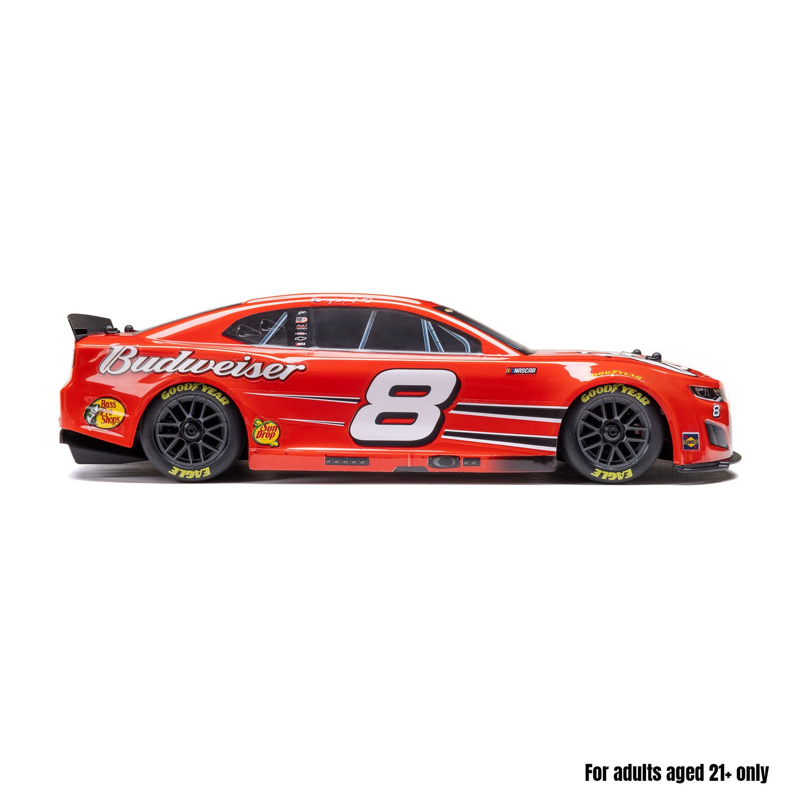LOSI 1/12 NASCAR Dale Earnhardt Jr. No. 8 Budweiser