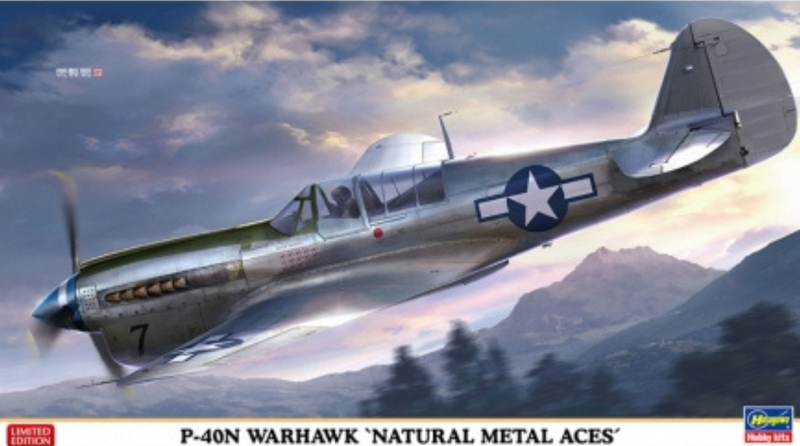 1/48 P-40N Warhawk Natural Metal Aces