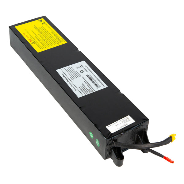 SCOOTER BATTERY